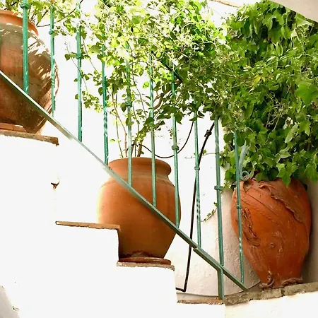 Hébergement de vacances Casa Del Patio Arabe Casas Vejer Debra *